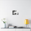 Canvas Wrap - Charcoal Garden Cat #5 - Unframed