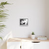 Gallery Canvas Wraps - Charcoal Garden Cat #5 - Framed