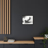 Gallery Canvas Wraps - Charcoal Garden Cat #4 - Framed