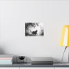 Canvas Wrap - Charcoal Garden Cat #5 - Unframed