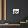 Gallery Canvas Wraps - Charcoal Garden Cat #3 - Framed