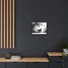 Gallery Canvas Wraps - Charcoal Garden Cat #5 - Framed