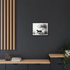 Gallery Canvas Wraps - Charcoal Garden Cat #2 - Framed