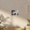Canvas Wrap - Charcoal Garden Cat #5 - Unframed