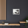 Gallery Canvas Wraps - Charcoal Garden Cat #2 - Framed